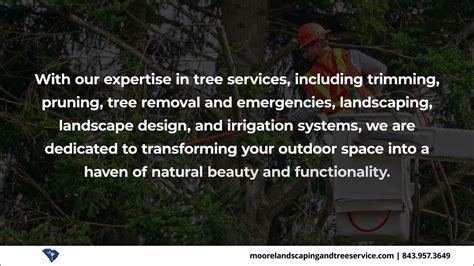 moore landscaping and tree service